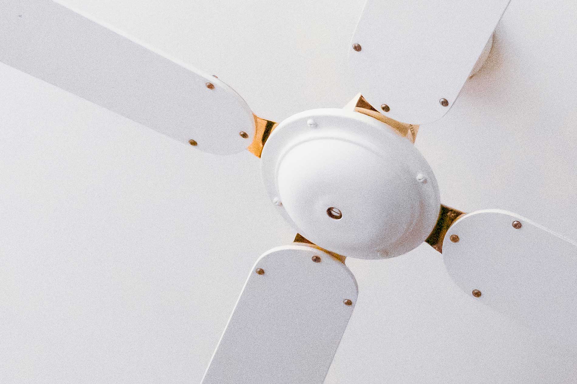 Informació respecte a la cerca de solucions per evitar les altes temperatures a l’escola
